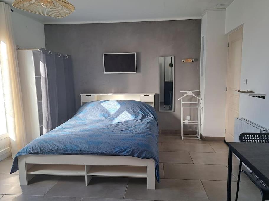 Studio Dans Maison Avec Jardin Et Balcon, Au Calme Sérézin-du-Rhône Exterior foto